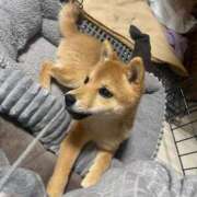 ヒメ日記 2025/05/01 05:06 投稿 あや 吉原ファーストレディ