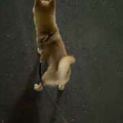 ヒメ日記 2025/05/08 22:41 投稿 あや 吉原ファーストレディ