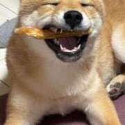 ヒメ日記 2025/05/13 05:06 投稿 あや 吉原ファーストレディ