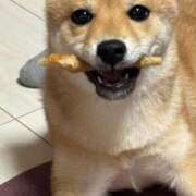 ヒメ日記 2025/05/13 12:40 投稿 あや 吉原ファーストレディ