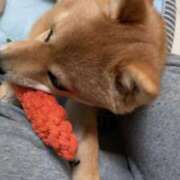 ヒメ日記 2025/05/14 18:17 投稿 あや 吉原ファーストレディ