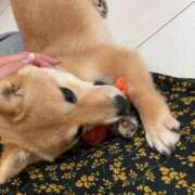 ヒメ日記 2025/05/15 07:31 投稿 あや 吉原ファーストレディ