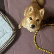 ヒメ日記 2025/05/16 17:11 投稿 あや 吉原ファーストレディ