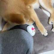 ヒメ日記 2025/05/24 08:18 投稿 あや 吉原ファーストレディ