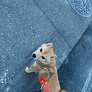 ヒメ日記 2025/05/28 19:32 投稿 あや 吉原ファーストレディ