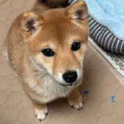 ヒメ日記 2025/05/30 19:36 投稿 あや 吉原ファーストレディ