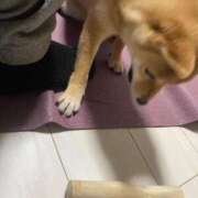 ヒメ日記 2025/06/02 07:56 投稿 あや 吉原ファーストレディ