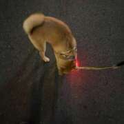 ヒメ日記 2025/06/02 18:26 投稿 あや 吉原ファーストレディ