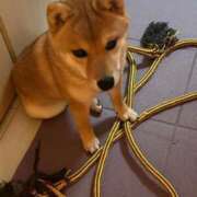 ヒメ日記 2025/06/06 21:20 投稿 あや 吉原ファーストレディ