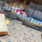 ヒメ日記 2025/06/10 20:58 投稿 あや 吉原ファーストレディ