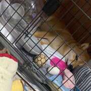 ヒメ日記 2025/06/11 22:56 投稿 あや 吉原ファーストレディ