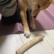 ヒメ日記 2025/06/14 05:28 投稿 あや 吉原ファーストレディ