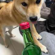 ヒメ日記 2025/06/19 21:11 投稿 あや 吉原ファーストレディ