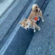 ヒメ日記 2025/06/20 08:26 投稿 あや 吉原ファーストレディ