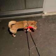 ヒメ日記 2025/06/22 10:46 投稿 あや 吉原ファーストレディ