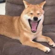 ヒメ日記 2025/06/23 05:56 投稿 あや 吉原ファーストレディ