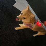 ヒメ日記 2025/06/27 06:02 投稿 あや 吉原ファーストレディ