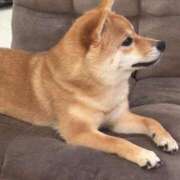 ヒメ日記 2025/06/27 09:03 投稿 あや 吉原ファーストレディ