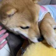 ヒメ日記 2025/07/02 00:16 投稿 あや 吉原ファーストレディ