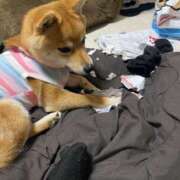 ヒメ日記 2025/07/02 11:56 投稿 あや 吉原ファーストレディ