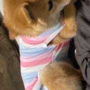 ヒメ日記 2025/07/03 08:56 投稿 あや 吉原ファーストレディ