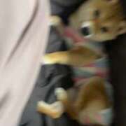 ヒメ日記 2025/07/04 08:18 投稿 あや 吉原ファーストレディ