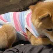 ヒメ日記 2025/07/07 12:34 投稿 あや 吉原ファーストレディ