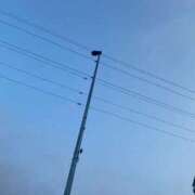 ヒメ日記 2025/07/08 05:36 投稿 あや 吉原ファーストレディ