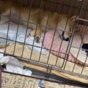 ヒメ日記 2025/07/12 18:56 投稿 あや 吉原ファーストレディ