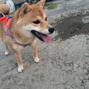 ヒメ日記 2025/07/21 11:06 投稿 あや 吉原ファーストレディ