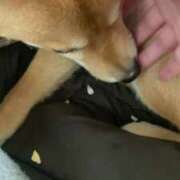 ヒメ日記 2025/07/23 14:21 投稿 あや 吉原ファーストレディ