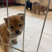 ヒメ日記 2025/07/25 14:36 投稿 あや 吉原ファーストレディ