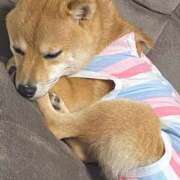 ヒメ日記 2025/07/28 23:56 投稿 あや 吉原ファーストレディ