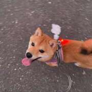 ヒメ日記 2025/07/30 12:50 投稿 あや 吉原ファーストレディ