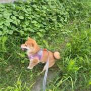 ヒメ日記 2025/08/02 05:30 投稿 あや 吉原ファーストレディ