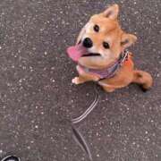 ヒメ日記 2025/08/03 20:28 投稿 あや 吉原ファーストレディ