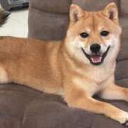 ヒメ日記 2025/08/06 05:26 投稿 あや 吉原ファーストレディ