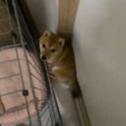 ヒメ日記 2025/08/08 05:46 投稿 あや 吉原ファーストレディ