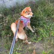 ヒメ日記 2025/08/10 12:06 投稿 あや 吉原ファーストレディ