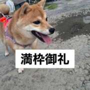 ヒメ日記 2025/08/11 17:36 投稿 あや 吉原ファーストレディ