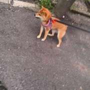 ヒメ日記 2025/08/13 14:06 投稿 あや 吉原ファーストレディ