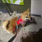 ヒメ日記 2025/08/17 16:56 投稿 あや 吉原ファーストレディ