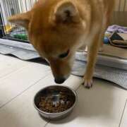 ヒメ日記 2025/08/19 10:04 投稿 あや 吉原ファーストレディ