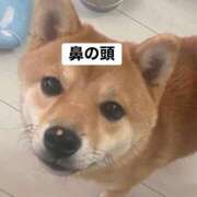 ヒメ日記 2025/11/18 08:07 投稿 あや 吉原ファーストレディ