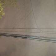 ヒメ日記 2025/11/20 05:46 投稿 あや 吉原ファーストレディ