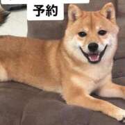 ヒメ日記 2025/11/20 06:14 投稿 あや 吉原ファーストレディ