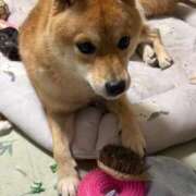 ヒメ日記 2025/11/27 05:36 投稿 あや 吉原ファーストレディ