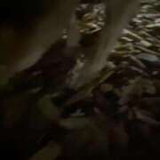 ヒメ日記 2025/11/28 21:26 投稿 あや 吉原ファーストレディ