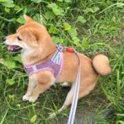 ヒメ日記 2025/12/03 17:09 投稿 あや 吉原ファーストレディ