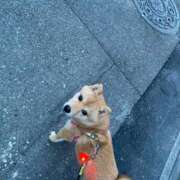 ヒメ日記 2025/12/05 15:46 投稿 あや 吉原ファーストレディ